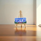 Personalized 4x2 inch mini Indiana state license plate for kids in durable plastic.